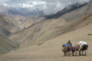 Récit du trek Lamayuru – Chilling