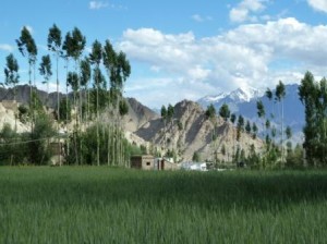 Visite de Leh