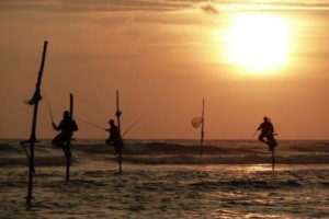 La côte Sud du Sri Lanka